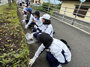0705kuri-nn3