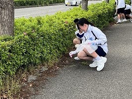 IMG_2399