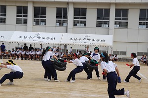 IMG_5466