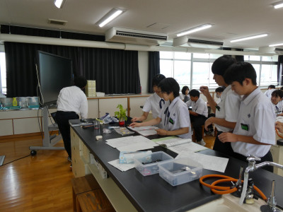 P1003499