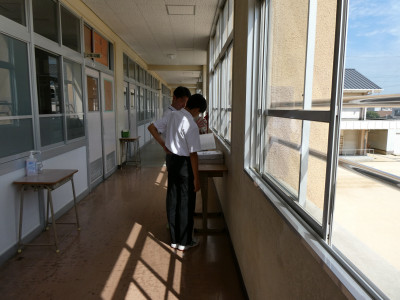 P1003985