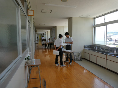 P1003986