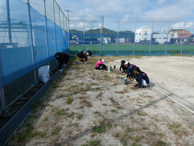 P1007782