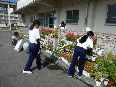 P1009509