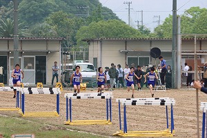 IMG_2834