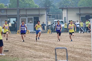 IMG_2984