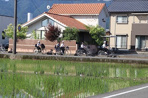 IMG_3003