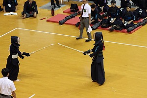 IMG_3239