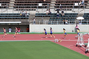 IMG_3259