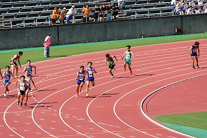 IMG_3281