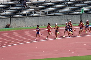 IMG_3558