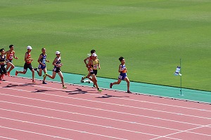 IMG_3565