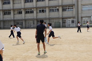 IMG_4554