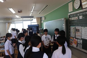 IMG_6186
