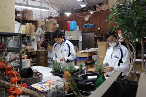 IMG_6552