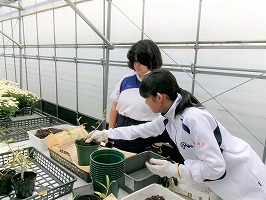 100_0037 (2)