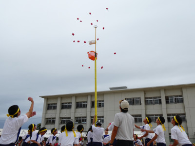 P1011045
