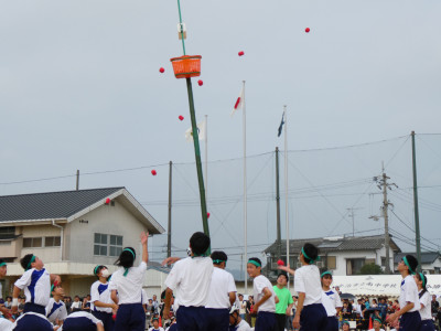 P1012331