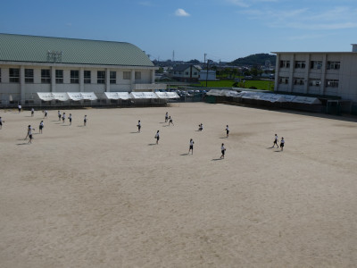 P1035191